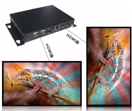 Controle síncrono do cartão 8~32GB HDMI Media Player do TF que flui o jogador HDMI